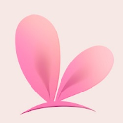 VTube Studio APK APK